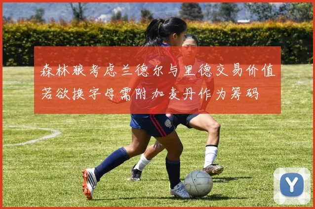 森林狼考虑兰德尔与里德交易价值若欲换字母需附加麦丹作为筹码