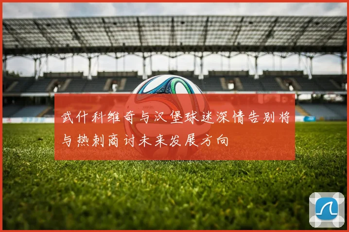 武什科维奇与汉堡球迷深情告别将与热刺商讨未来发展方向
